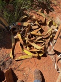Ratchet straps