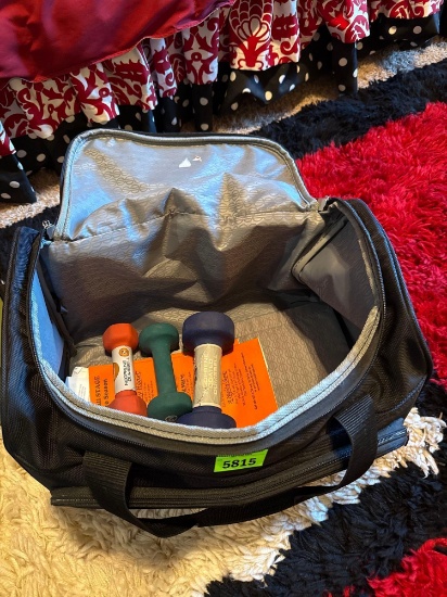 Workout bag, dumb bells and check file