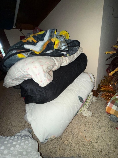 2 comforters two blankets, two pillows and a weighted blanket