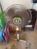 Fan
