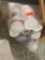 Plastic drinking cups