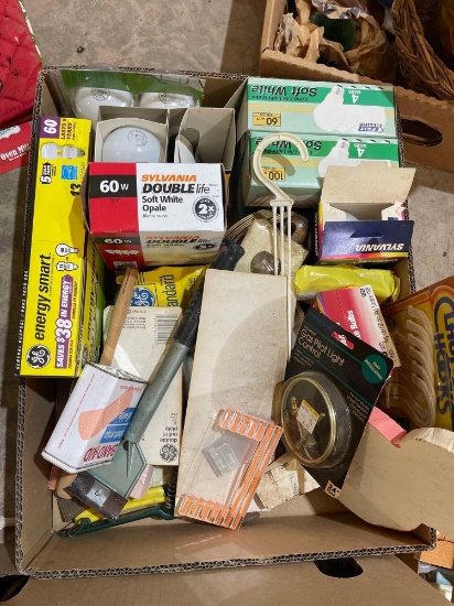 Box of Various Light bulbs