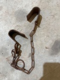 vintage cow kickers