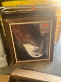 Bald Eagle Picture and Old El Reno photo