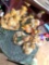 cherished teddies