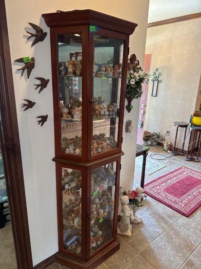 Curio cabinet, 19 x 70 inches, items are not included, bring up the move