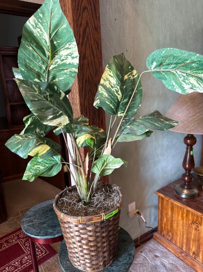 Greenery in basket
