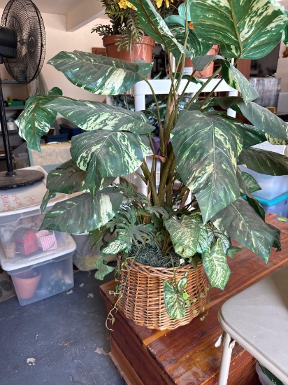Greenery in basket