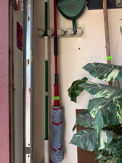 2 mops, dust pan