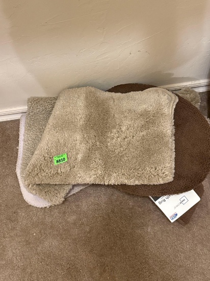 carpet