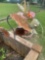 Yard decor
