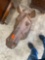 Horse head bust This is metal and heavy Measurements in photos Buyer responsible loading and