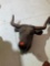 Beautiful cow head wall decor