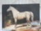 Horse wall painting