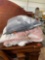 Ugg blankets