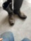 Riding boots