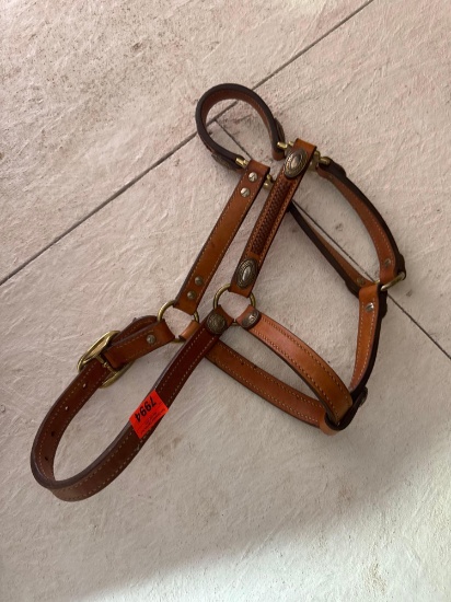 Dog harness