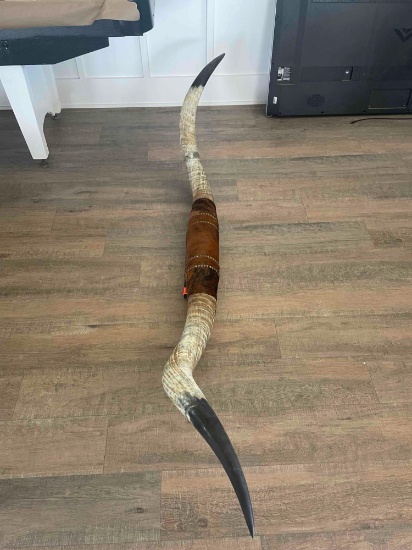 Long horns