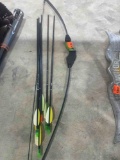 Bow and arrows