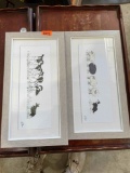 Cow and sheep pictures