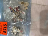 Various lapel pins