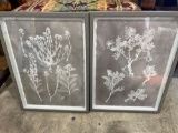 Framed flower wall art