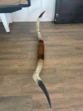 Long horns