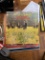 various vinyl records