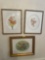 floral pictures by R. Tobey