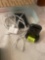 electric key finder