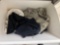 Clothes and towel