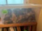 tub of mini figurines