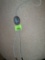 bolo tie