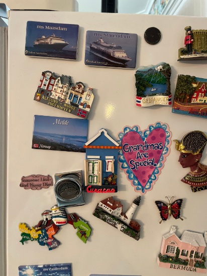 various fridge magnets