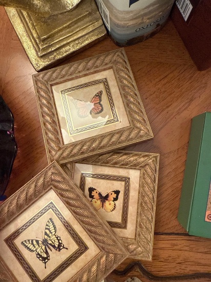 Butterfly pictures