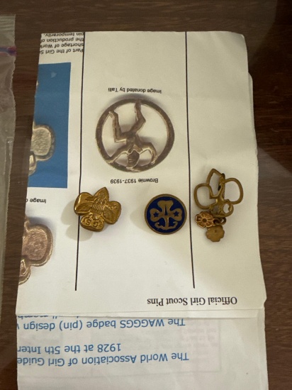 Girl Scout pins