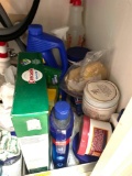 cleaning supplies