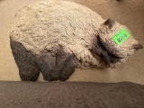 sleeping cat decor