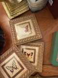 Butterfly pictures