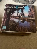 vintage vinyl records