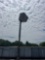 spot light mounted to poles
