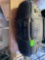 Boom Box