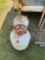 2 propane tanks