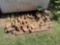 Stack of bricks *BUYER IS RESPONSIBLE FOR LOADING ALL ITEMS*