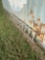 Extension ladder