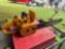 Lumberjack chain saw