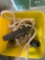 Yellow bucket with rope and misc items