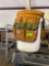 5 gallon with tool caddy