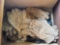 Various gloves
