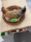 Chicken and eggs in nest